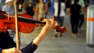 Violin, Bowed Stringed Instrument, Stringed Instrument, Musical Instrument, Cello, Man