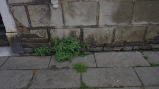 Wall, Brick, Texture, Stone, Old, Pattern