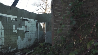 Wall, Old, Brick, Building, Architecture, Stone