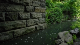 Wall, Stone Wall, Stone, Brick, Fence, Step