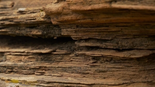 Wall, Texture, Old, Surface, Pattern, Rough