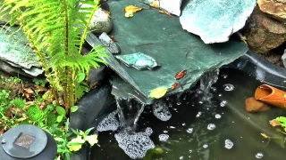 Water, Aquatic, River, Waterfall, Stream, Stone