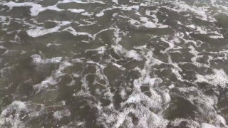 Water, Ocean, Ice, Sea, Crystal, Body Of Water