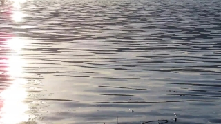Water, Ocean, Reflection, Lake, Sea, Landscape