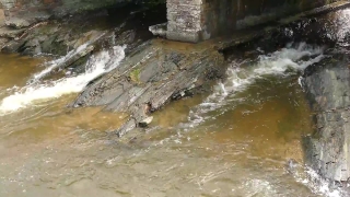Water, River, Channel, Rock, Stream, Body Of Water
