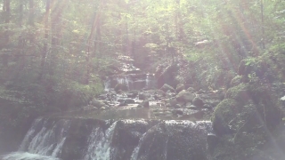 Water, River, Stream, Landscape, Stone, Waterfall