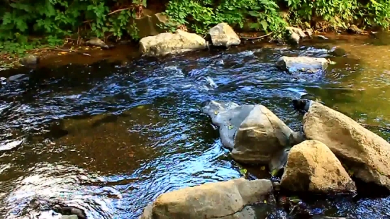 Water, River, Turtle, Stream, Terrapin, Landscape