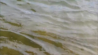 Water, Sand, Ocean, Sea, Sandbar, Beach