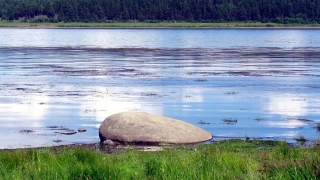 Water, Shore, Lake, Beach, Lakeside, Landscape