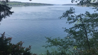 Water, Shore, Lakeside, Lake, Landscape, Sky
