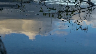 Water, Sky, Lake, Landscape, Tree, Land