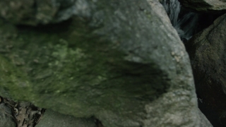 Water, Stone, Rock, Tree, Mountain, Landscape