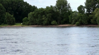 Water, Tree, Shore, Landscape, Forest, Lake