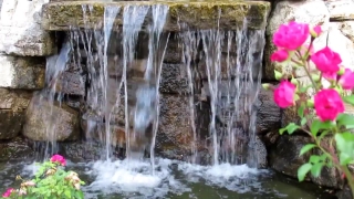 Waterfall, River, Stream, Water, Rock, Forest