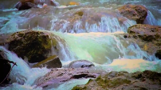 Waterfall, River, Stream, Water, Rock, Stone