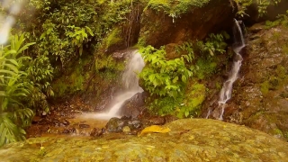Waterfall, River, Stream, Water, Spring, Forest