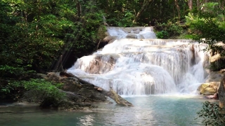 Waterfall, River, Stream, Water, Spring, Forest