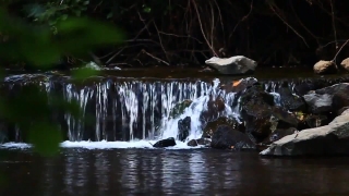 Waterfall, Water, River, Ice, Stream, Crystal