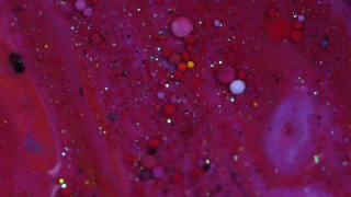 Wet, Shrub, Dew, Drops, Liquid, Texture