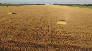 Wheat, Cereal, Field, Rural, Landscape, Agriculture