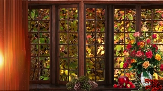 Window, Framework, Building, Supporting Structure, Architecture, Greenhouse