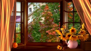 Windowsill, Sill, Structural Member, Building, Support, House