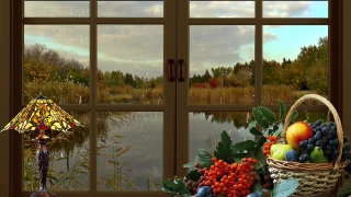Windowsill, Sill, Structural Member, Support, Flowers, Building