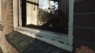 Windowsill, Sill, Structural Member, Support, House, Architecture