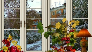 Windowsill, Sill, Structural Member, Support, House, Architecture