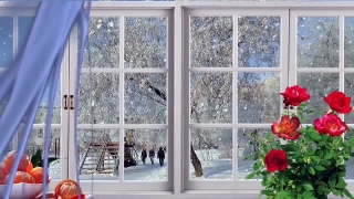 Windowsill, Sill, Structural Member, Support, Window, House