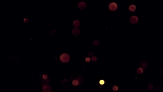 Night, Light, Star, Space, Lights, Shiny