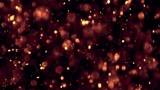 Firework, Confetti, Star, Explosive, Paper, Night