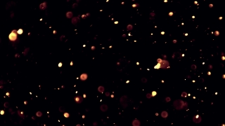 Firework, Star, Night, Light, Explosive, Space