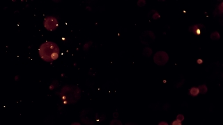 Star, Celestial Body, Night, Space, Stars, Light