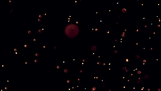 Star, Light, Design, Firework, Night, Wallpaper
