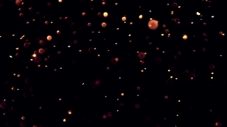 Star, Firework, Night, Light, Space, Stars