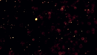 Firework, Star, Night, Explosive, Confetti, Light
