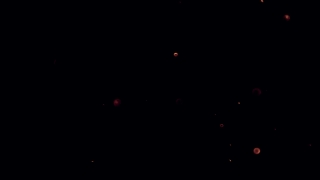 Star, Celestial Body, Space, Night, Stars, Light