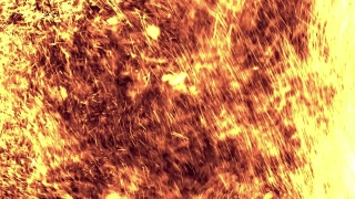 Sky, Dandelion, Sun, Herb, Light, Heat
