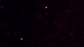 Star, Celestial Body, Space, Night, Astronomy, Stars