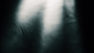 X-ray Film, Film, Photographic Paper, Photographic Equipment, Black, Light
