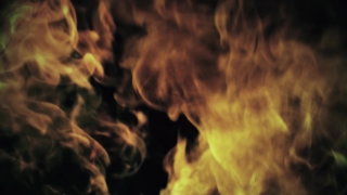 Feather Boa, Scarf, Flame, Fire, Garment, Heat