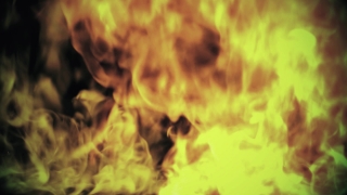 Yellow, Texture, Close, Orange, Plant, Fire