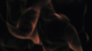 Flame, Jellyfish, Invertebrate, Light, Fire, Energy