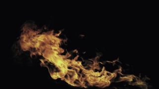 Flame, Heat, Fire, Smoke, Jellyfish, Invertebrate