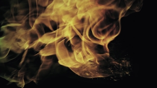 Jellyfish, Flame, Fire, Invertebrate, Heat, Burn