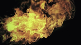 Jellyfish, Invertebrate, Flame, Fire, Hot, Burn