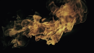 Jellyfish, Invertebrate, Flame, Animal, Smoke, Light