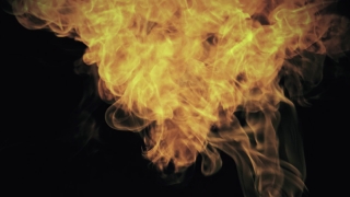 Terrier, Hunting Dog, Flame, Dog, Fire, Light