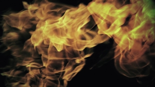 Feather Boa, Scarf, Garment, Clothing, Flame, Heat